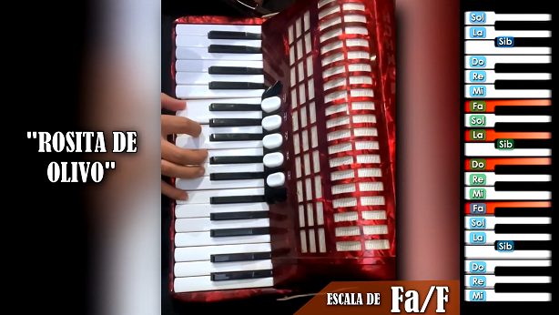 Rosita de Olivo - Tutorial en Acordeon de teclas